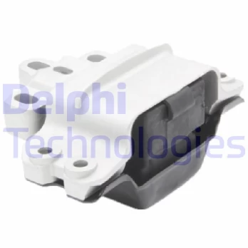 Variklio montavimas DELPHI TEM196