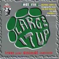 CD Various - Large It Up