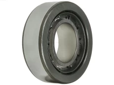 Guolis AS-PL ABE9033(INA) kaina