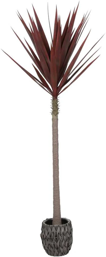 Dirbtinis augalas Agava, 180 cm