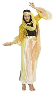 Widmann Harem Danser kostume