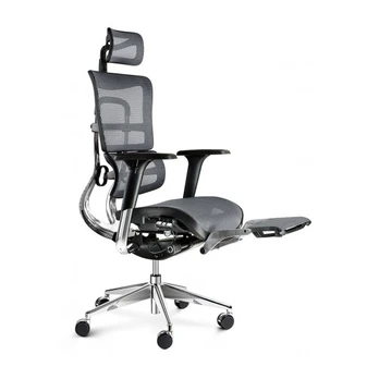 Ergonomic Chair DIABLO V-MASTER: black-grey