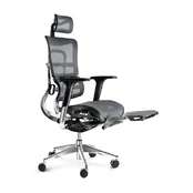 Ergonomic Chair DIABLO V-MASTER: black-grey kaina