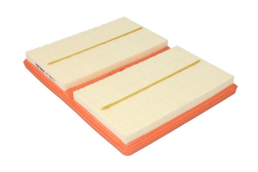 Oro filtras FILTRON AP062/2