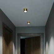 Vemti! 80 Vienas LED lubų taškinis matinis lęšis, žalvaris