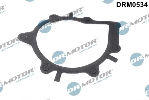 Tarpiklis, vandens siurblys Dr.Motor Automotive DRM0534