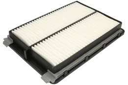 Oro filtras FILTRON AP197/8 kaina