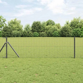 Euro tvora Pilka 0.6x50 m Plienas