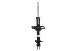 BILSTEIN 22-278531 Shock absorber kaina