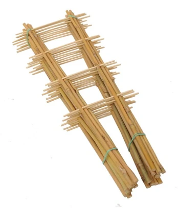 Bambukinės kopėčios 60 cm x 10 vnt.