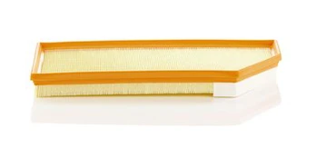 MANN-FILTER C 45 004 Oro filtras