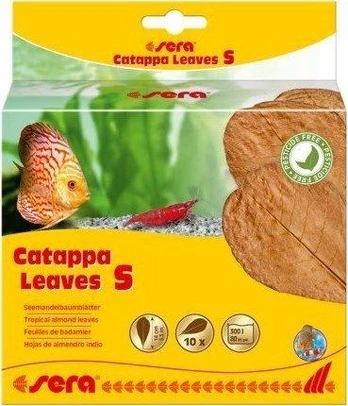 Sera Migdolų lapai - Catappa Leaves S, 14 cm, 10 vnt/PAK
