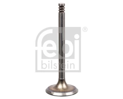 Įvado vožtuvas FEBI BILSTEIN 19992