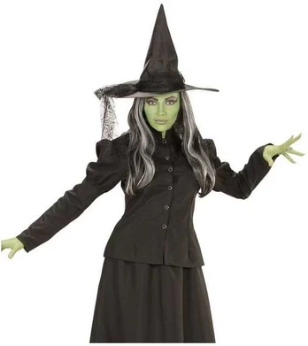 Widmann Fairytale Witch kostume