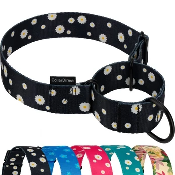 CollarDirect Martingale šunų antkaklis 28,1-50,8 cm