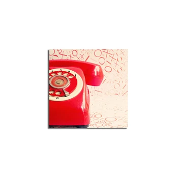 Reprodukcija Laidinis telefonas