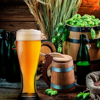 Alaus stiklas Weizenbeer ir Pils 665 ml PASABAHCE