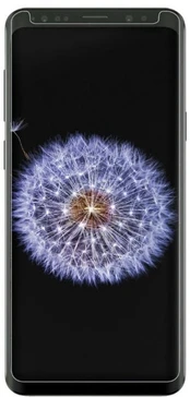 Apsauginis stiklas Blun For Samsung Galaxy S9 Plus, 9H