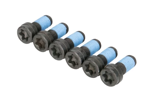 LUK 411 0243 10 Flywheel bolt set