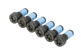 LUK 411 0243 10 Flywheel bolt set kaina