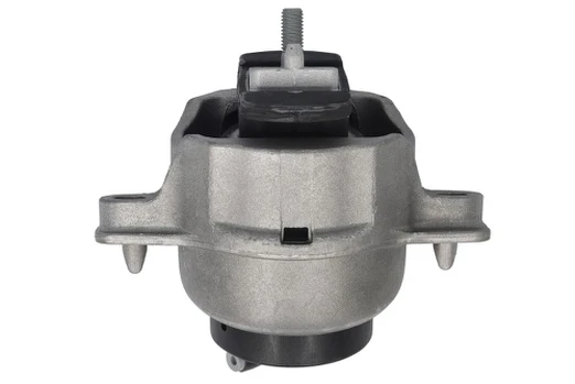 Variklio montavimas LEMFÖRDER 44247 01