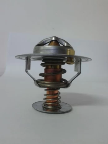termostatas, aušinimo skystis THERMOTEC D2CA002TT