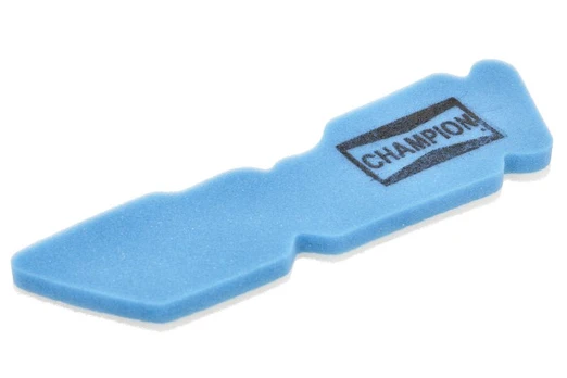 Oro filtras CHAMPION CAF4208DS