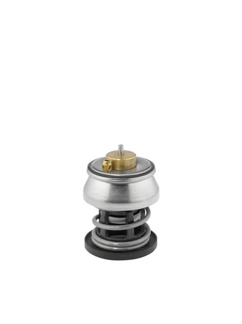 Termostatas, aušinimo skystis BorgWarner (Wahler) 412253.88D