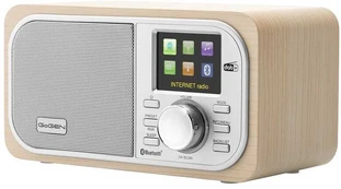 GoGEN IR237BTDAB kaina