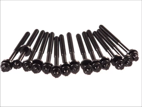 ELRING EL802801 Cylinder head bolt set
