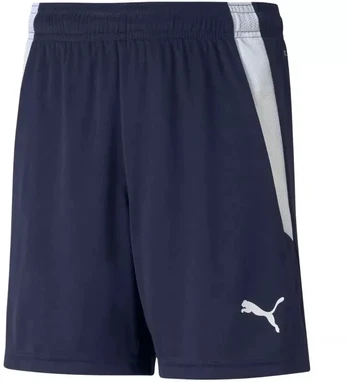 Puma teamLIGA Šortai Jr 704931 06