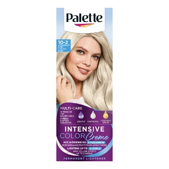 PALETTE ICC plaukų dažai