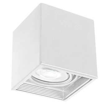 Luminex lubinis šviestuvas Downlight