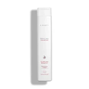 L'ANZA Healing Colorcare Clarifying Shampoo 300 ml kaina