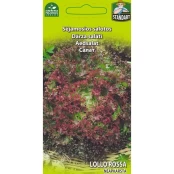 SĖJAMOSIOS SALOTOS LOLLO ROSSA kaina