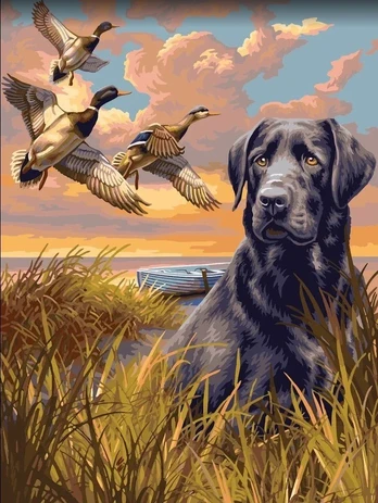 Tapybos pagal skaičius rinkinys: Hunter 40x50 cm H078