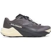 Bėgimo batai Salomon Pulsar L47975500 Violetinė