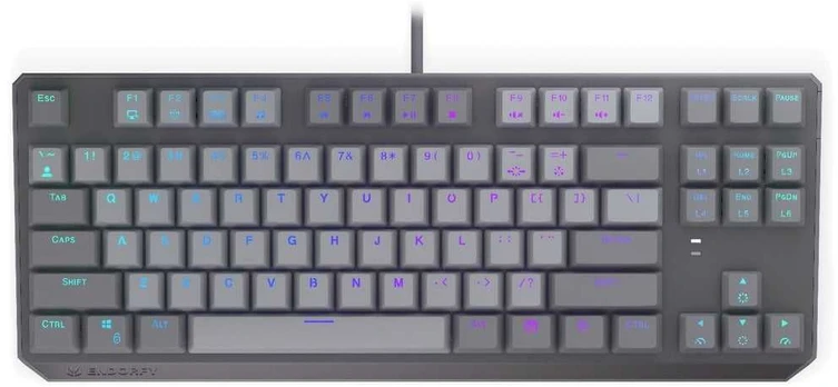 ENDORFY Thock V2 TKL