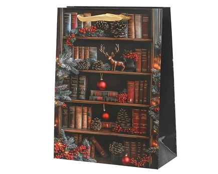 Dovanų maišelis Decoris Books, 10 cm x 32 cm x 26 cm