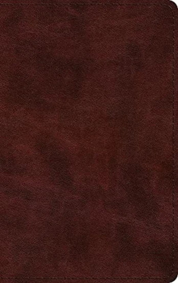 ESV Large Print Thinline Bible