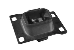 Variklio montavimas TEDGUM 00228080