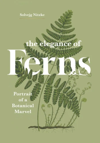 Elegance of Ferns
