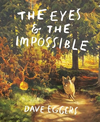 Eyes and the Impossible