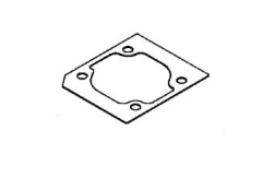 GASKET, ECHO