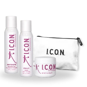 I.C.O.N. Antioxidant rinkinys Mini