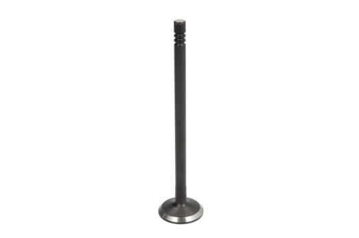 DNJ EV143 Exhaust valve