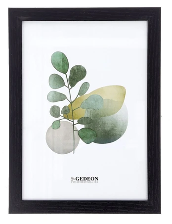 21x30 rėmelis Gedeon D1621