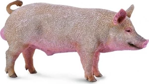 Žaislinė figūrėlė Collecta Boar 88864