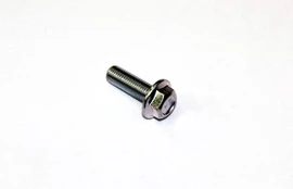 30006-102030810 BOLT