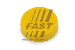 Tarpiklis, servo siurblio sandarinimo kaištis FAST FT94743 kaina